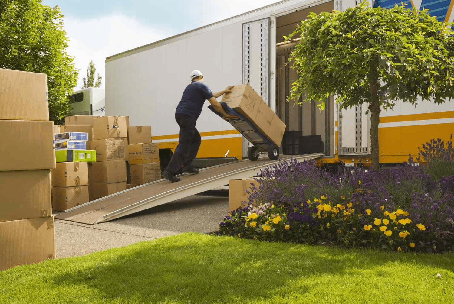 man-loading-boxes-into-truck-806